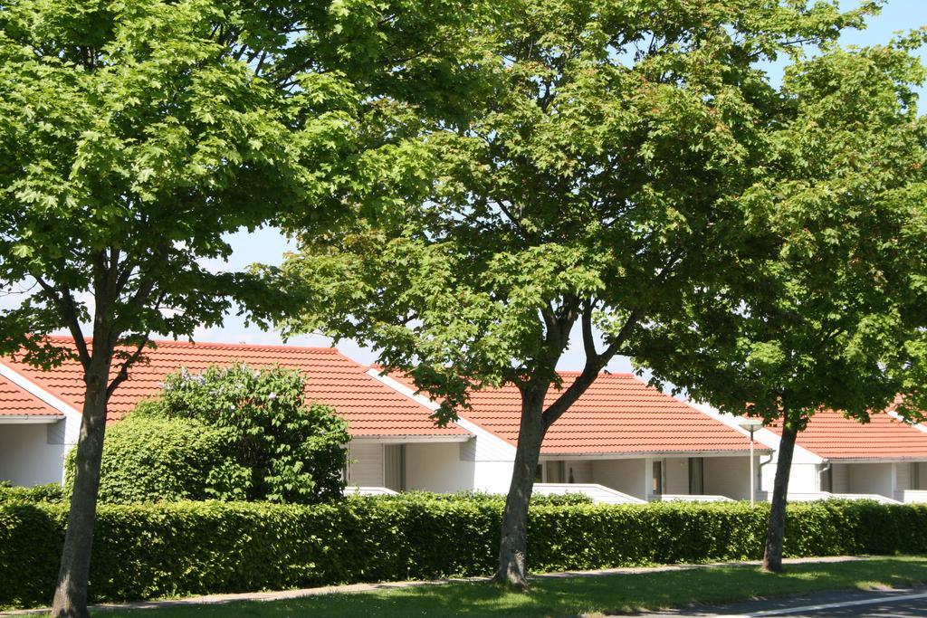 Aero Marina Aeroskobing Exterior foto